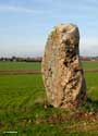 Zoom : Le menhir de la Grande Roche